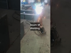 ورشة صلب سريلانكا مع مشروع الرافعة